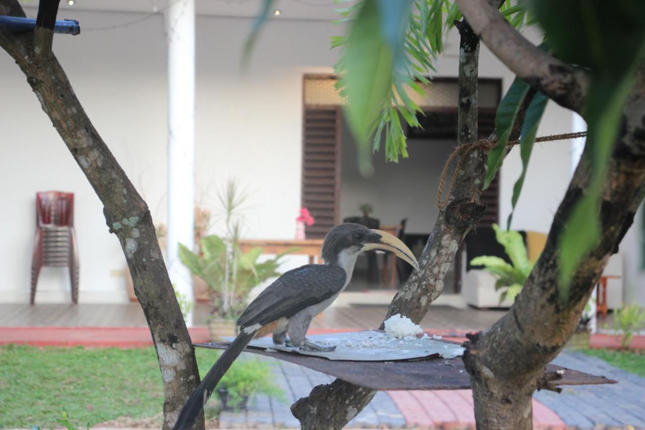 Miheen Hotel & Resort - Anuradhapura Mihintale Extérieur photo